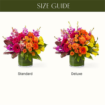 The Mosaic –  Petite Flower Shop, San Antonio TX