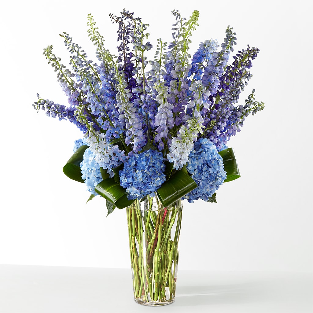The Editorial –  Petite Flower Shop, San Antonio TX