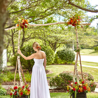 Arbor of Love Archway –  Petite Flower Shop, San Antonio TX