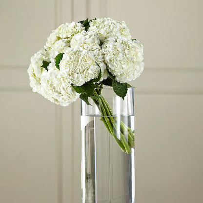 White Hydrangea Hand-Tied Bouquet –  Petite Flower Shop, San Antonio TX
