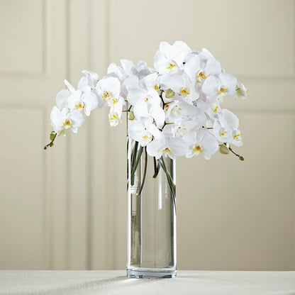 White Phalaenopsis Bouquet –  Petite Flower Shop, San Antonio TX