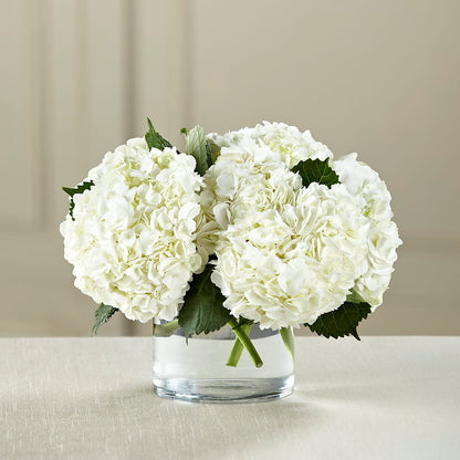 White Hydrangea Bouquet –  Petite Flower Shop, San Antonio TX